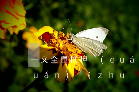 一文全懂：抵押權(quán)隨主債權(quán)轉(zhuǎn)讓，應(yīng)否辦理變更登記？